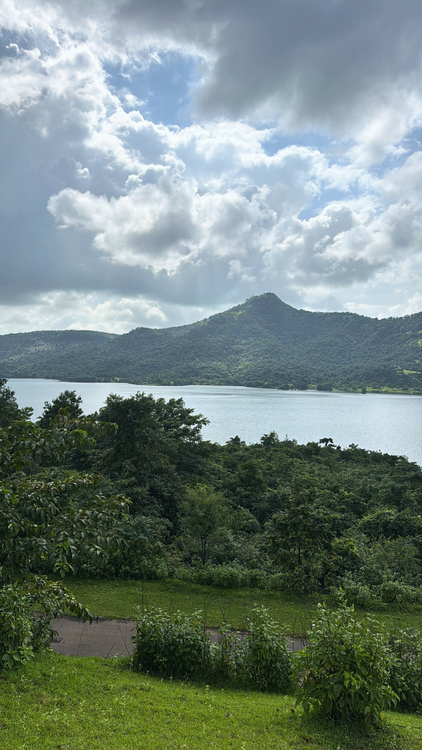 Untitled design – 2025-10-24T133856.625