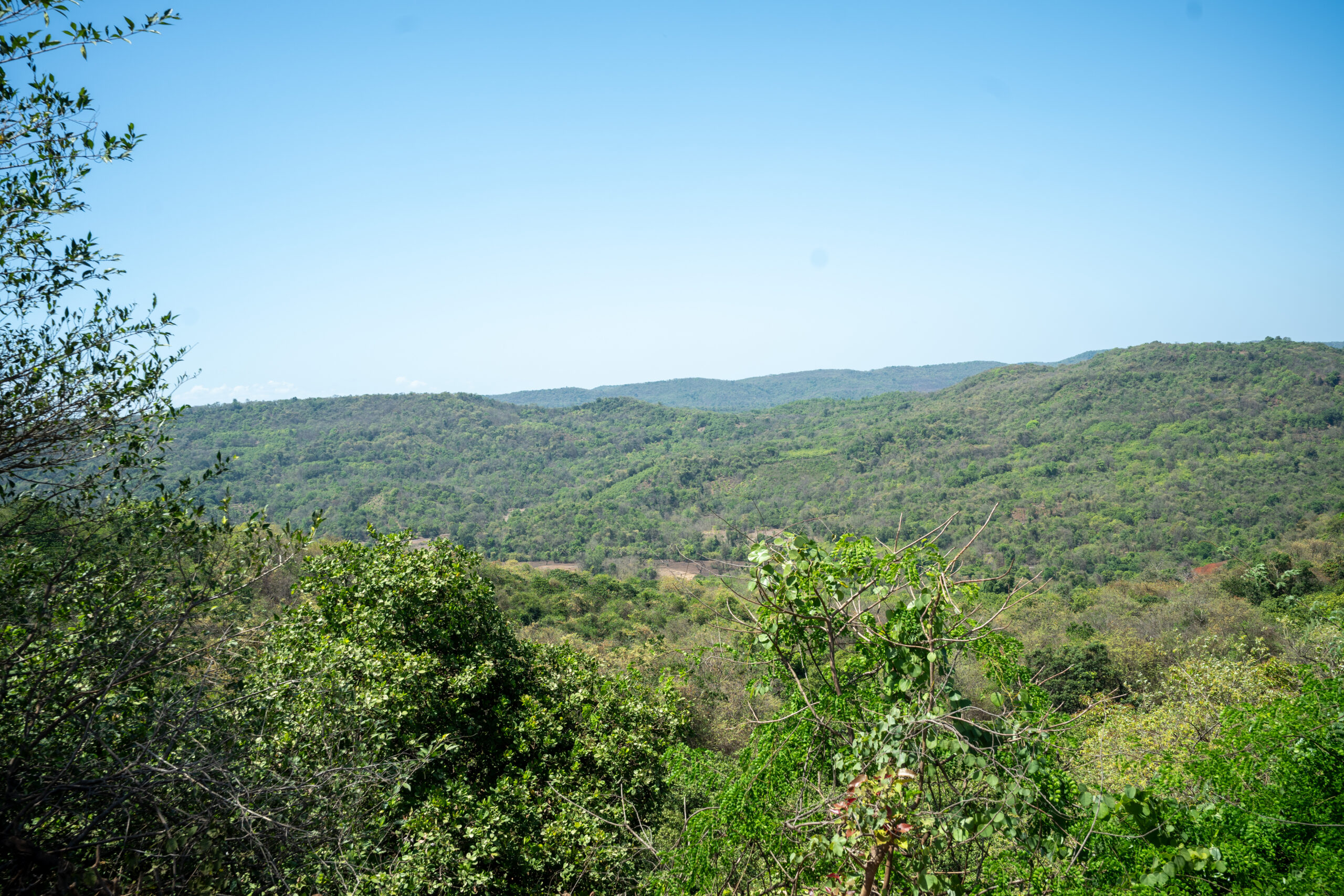 DSC03971